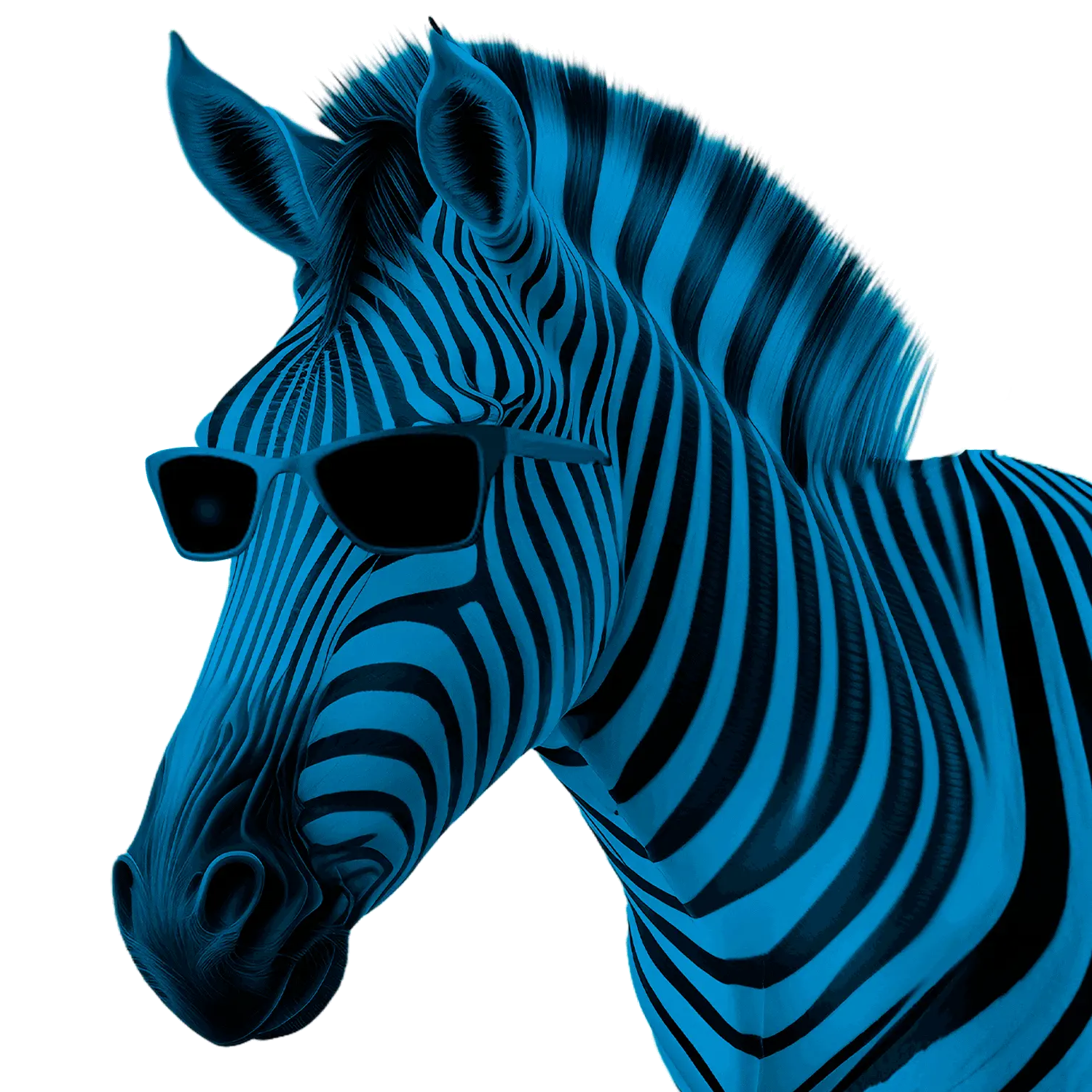 https://www.ceciliabrava.net.pe/images/home/recursos/cebra.webp